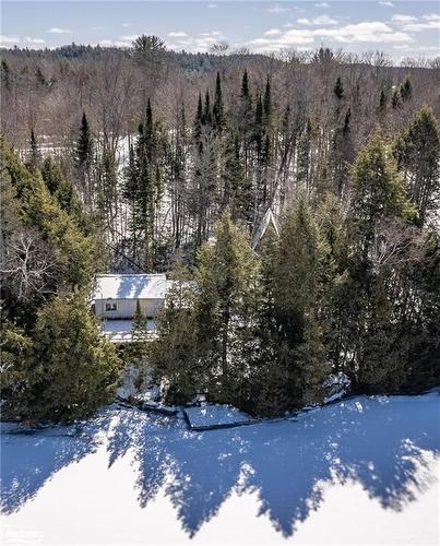 1206 Minden Point Trail, Dorset, ON - Outdoor With View