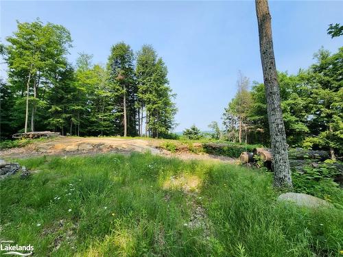 19 Old Hemlock Trail, Huntsville, ON 