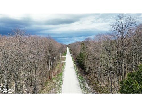 177 Osprey Heights Road, Grey Highlands, ON - Outdoor With View