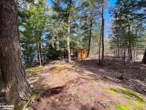 172 A Branch Lane, Ryerson, ON - Outdoor With View