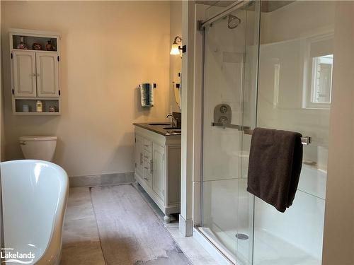 615 Seagull Lake Road, Arnstein, ON - Indoor Photo Showing Bathroom