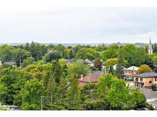 Ph 603-1 Hume Street, Collingwood, ON - Outdoor With View