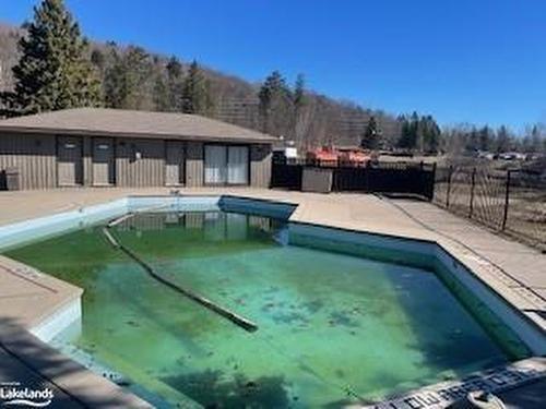 55-106-1235 Deerhurst Drive, Huntsville, ON - Outdoor With In Ground Pool With Backyard