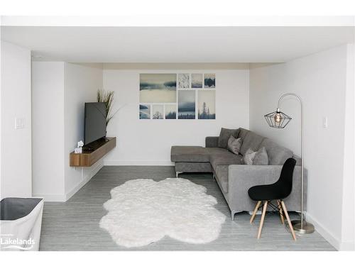 1047 Whyman Road, Algonquin Highlands, ON - Indoor Photo Showing Living Room