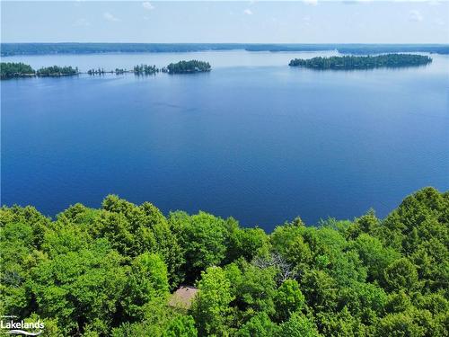 1 Cedar Island, Gravenhurst, ON - Outdoor With Body Of Water With View