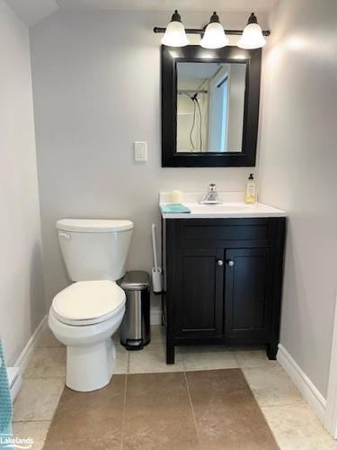1008 Matabanick Road, Algonquin Highlands, ON - Indoor Photo Showing Bathroom