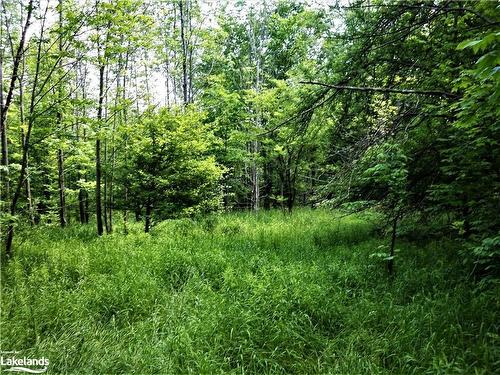 East Part Lot 2 Concession 3 Concession, Meaford Municipality, ON 