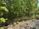 Lot 40 Sunset Ridge, Huntsville, ON 