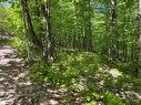 Lot 40 Sunset Ridge, Huntsville, ON 