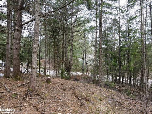 Lot 2-0 Old Muskoka Road, Emsdale, ON 