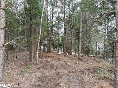 Lot 2-0 Old Muskoka Road, Emsdale, ON 