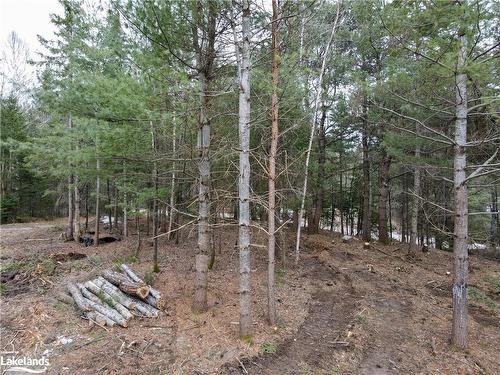 Lot 2-0 Old Muskoka Road, Emsdale, ON 