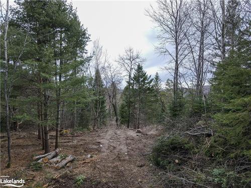 Lot 2-0 Old Muskoka Road, Emsdale, ON 