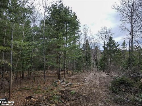 Lot 2-0 Old Muskoka Road, Emsdale, ON 