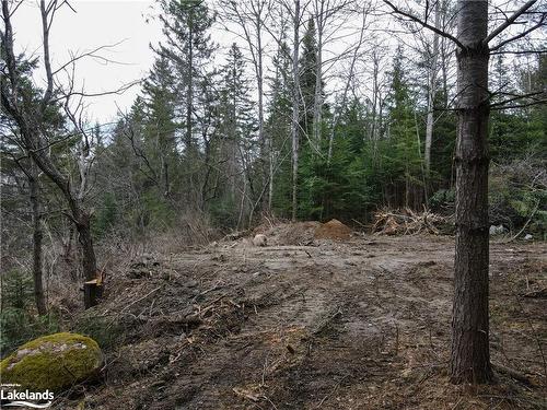 Lot 2-0 Old Muskoka Road, Emsdale, ON 