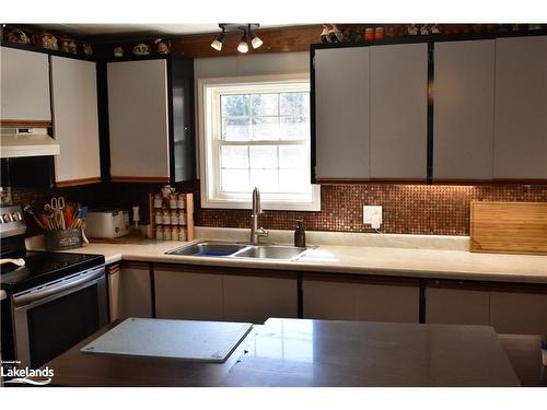 1336 Minnicock Lake Road, Haliburton, ON - Indoor Photo Showing Kitchen With Double Sink