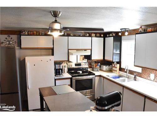 1336 Minnicock Lake Road, Haliburton, ON - Indoor Photo Showing Kitchen With Double Sink
