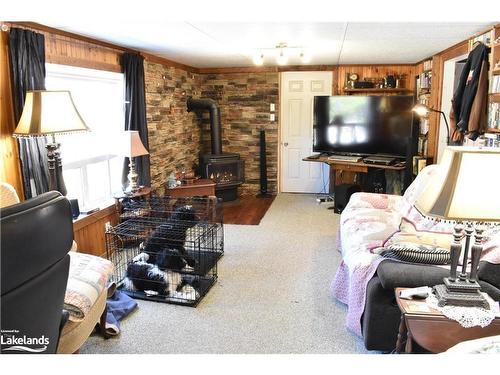 1336 Minnicock Lake Road, Haliburton, ON - Indoor Photo Showing Living Room With Fireplace