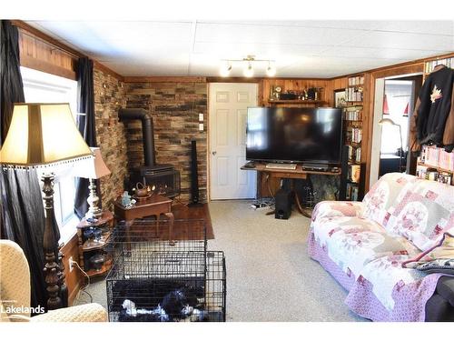 1336 Minnicock Lake Road, Haliburton, ON - Indoor Photo Showing Living Room With Fireplace