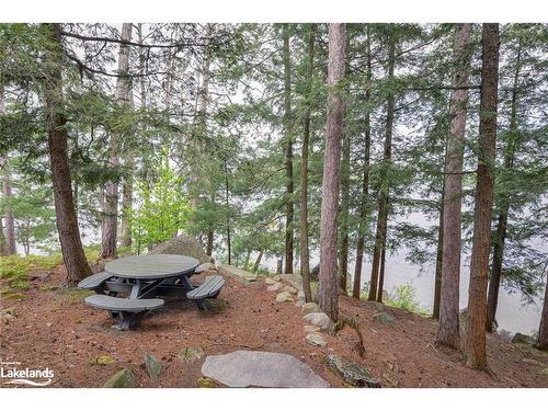 0 M  (Mossy Rock) Island, Port Carling, ON - Outdoor