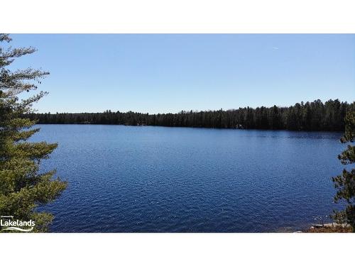 1366 Before Long Lane, Haliburton, ON - Outdoor With Body Of Water With View