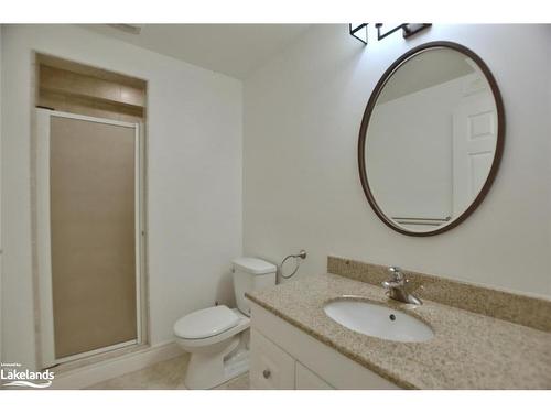7 Hill Street, Collingwood, ON - Indoor Photo Showing Bathroom