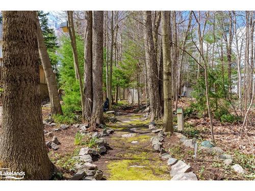 35 Springwood Crescent, Gravenhurst, ON - Outdoor With View