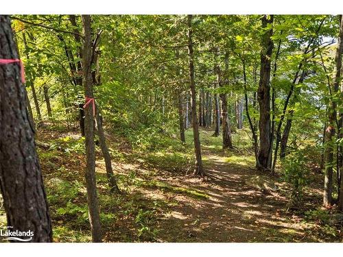 89 Mclennan Lane, Parry Sound, ON - Outdoor With Body Of Water With View