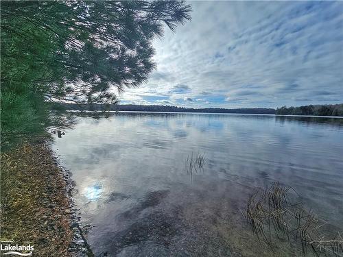 4-1177 Fieldale Road, Huntsville, ON - Outdoor With Body Of Water With View
