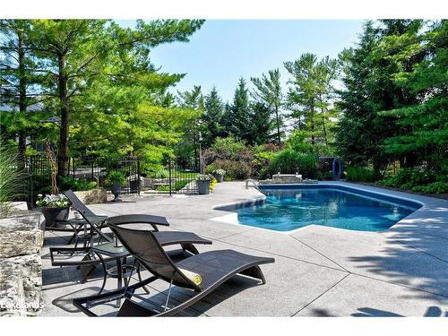 21 Trails End, Collingwood, ON - Outdoor With In Ground Pool With Backyard