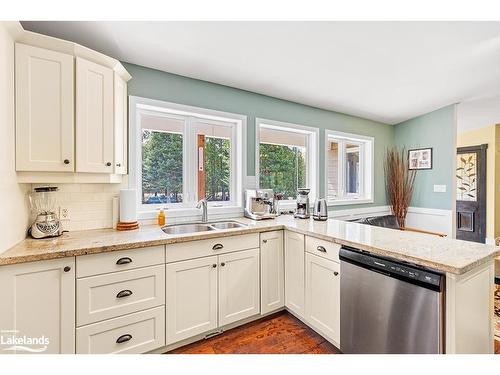 123 Valley Ridge Road, Grey Highlands, ON - Indoor Photo Showing Kitchen With Double Sink