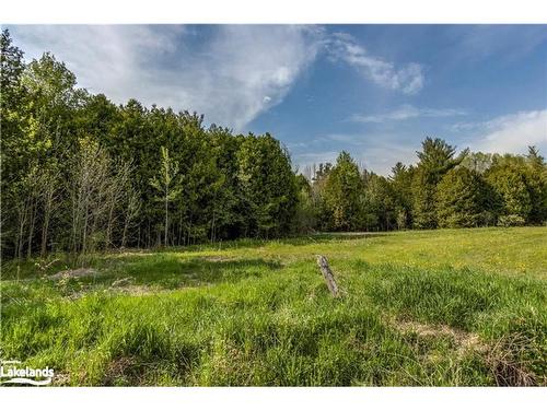 Lot 17 12 Concession W, Tiny, ON 