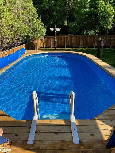 128 James Street, Town Of Blue Mountains, ON - Outdoor With Above Ground Pool With Backyard
