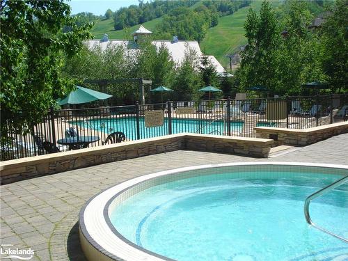 449-156 Jozo Weider Boulevard, The Blue Mountains, ON - Outdoor With In Ground Pool