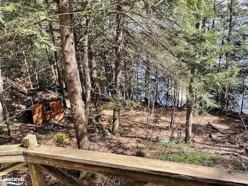 28 Island 26Lm Taylor Island, Gravenhurst, ON - Outdoor With View