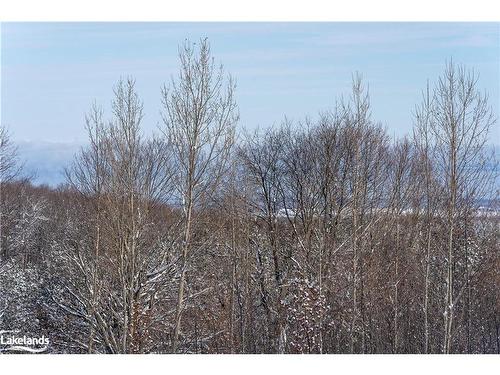 8268 21/22 Nottawasaga Sideroad, Duntroon, ON - Outdoor With View