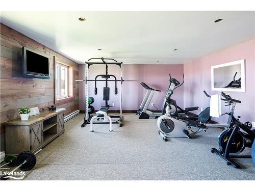 295089 8Th Line, Amaranth, ON - Indoor Photo Showing Gym Room