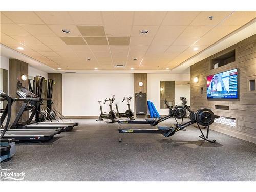 135 Dory Row, Thornbury, ON - Indoor Photo Showing Gym Room