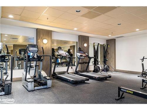 135 Dory Row, Thornbury, ON - Indoor Photo Showing Gym Room