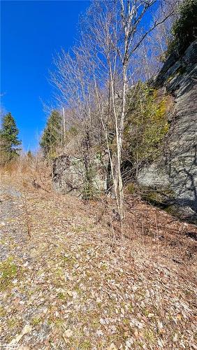 115 Longs Lake Road, Utterson, ON 