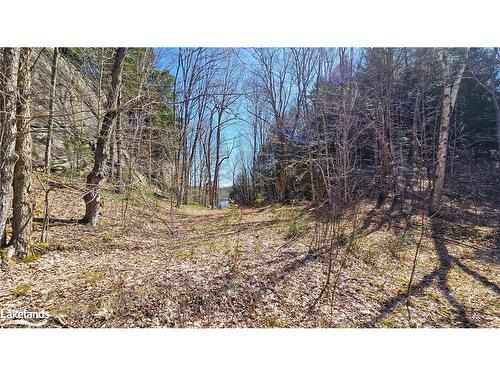 115 Longs Lake Road, Utterson, ON 