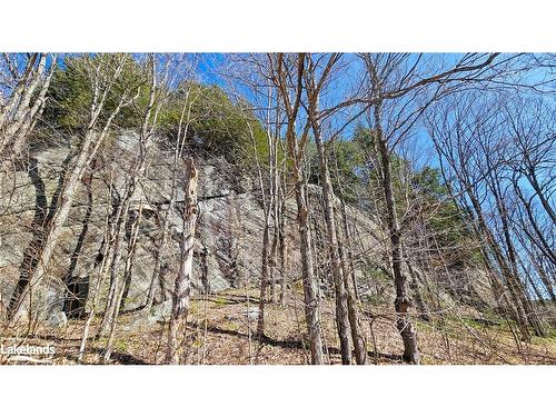 115 Longs Lake Road, Utterson, ON 