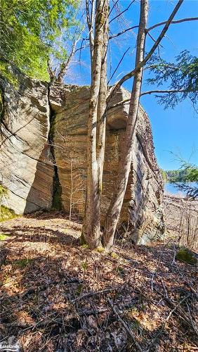 115 Longs Lake Road, Utterson, ON 