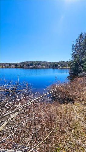 115 Longs Lake Road, Utterson, ON 