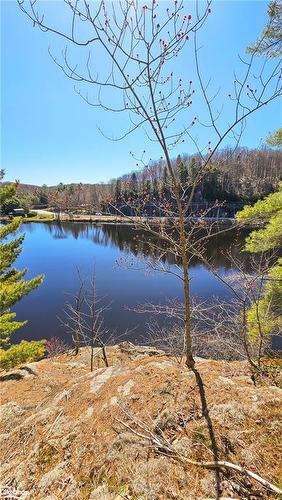 115 Longs Lake Road, Utterson, ON 