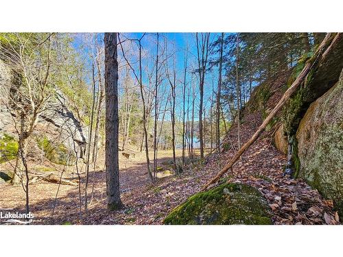 115 Longs Lake Road, Utterson, ON 