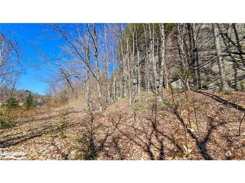 115 Longs Lake Road, Utterson, ON 