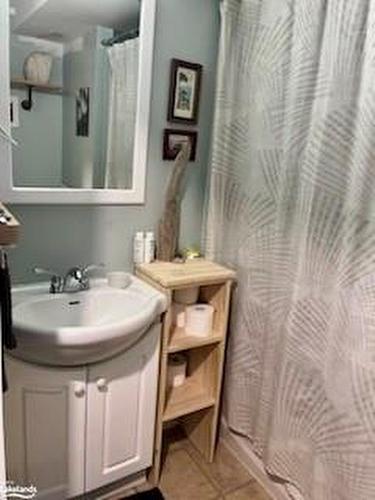 Lower-19 Godden Street, Collingwood, ON - Indoor Photo Showing Bathroom