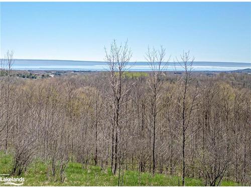 57813 12Th Line, Meaford Municipality, ON - Outdoor With View