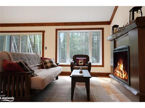 1214 Ursa Road, Highlands East, ON - Indoor Photo Showing Living Room With Fireplace